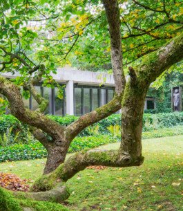 Gebäude Ausstellungsforum der Ernst Barlach Museen Güstrow