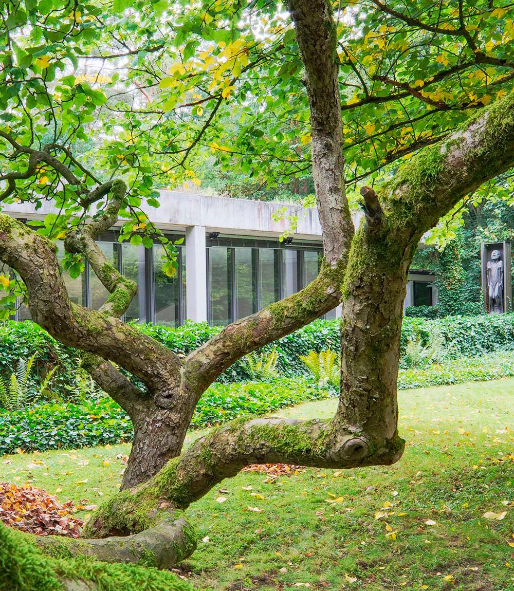 Gebäude Ausstellungsforum der Ernst Barlach Museen Güstrow