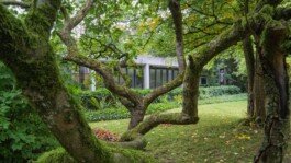 Ernst Barlach Museen Güstrow